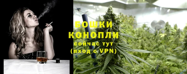 эйфоретик Майский